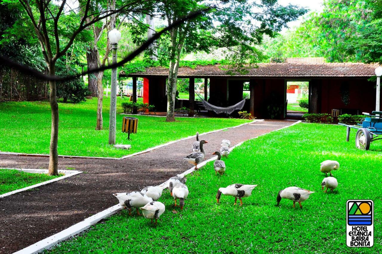Hotel Estancia バーハ・ボニータ エクステリア 写真